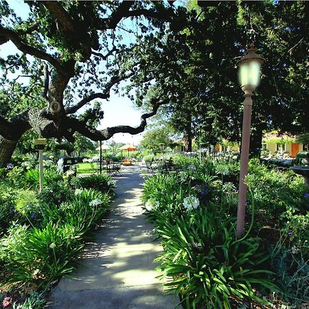 Meadowlark Inn Solvang Buitenkant foto