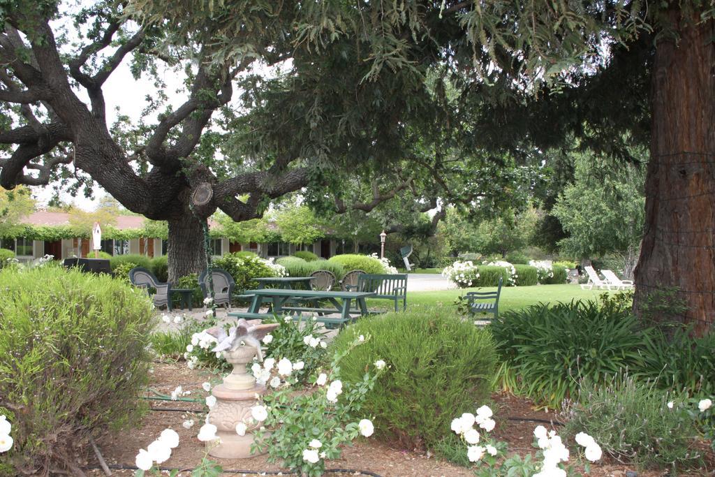 Meadowlark Inn Solvang Buitenkant foto