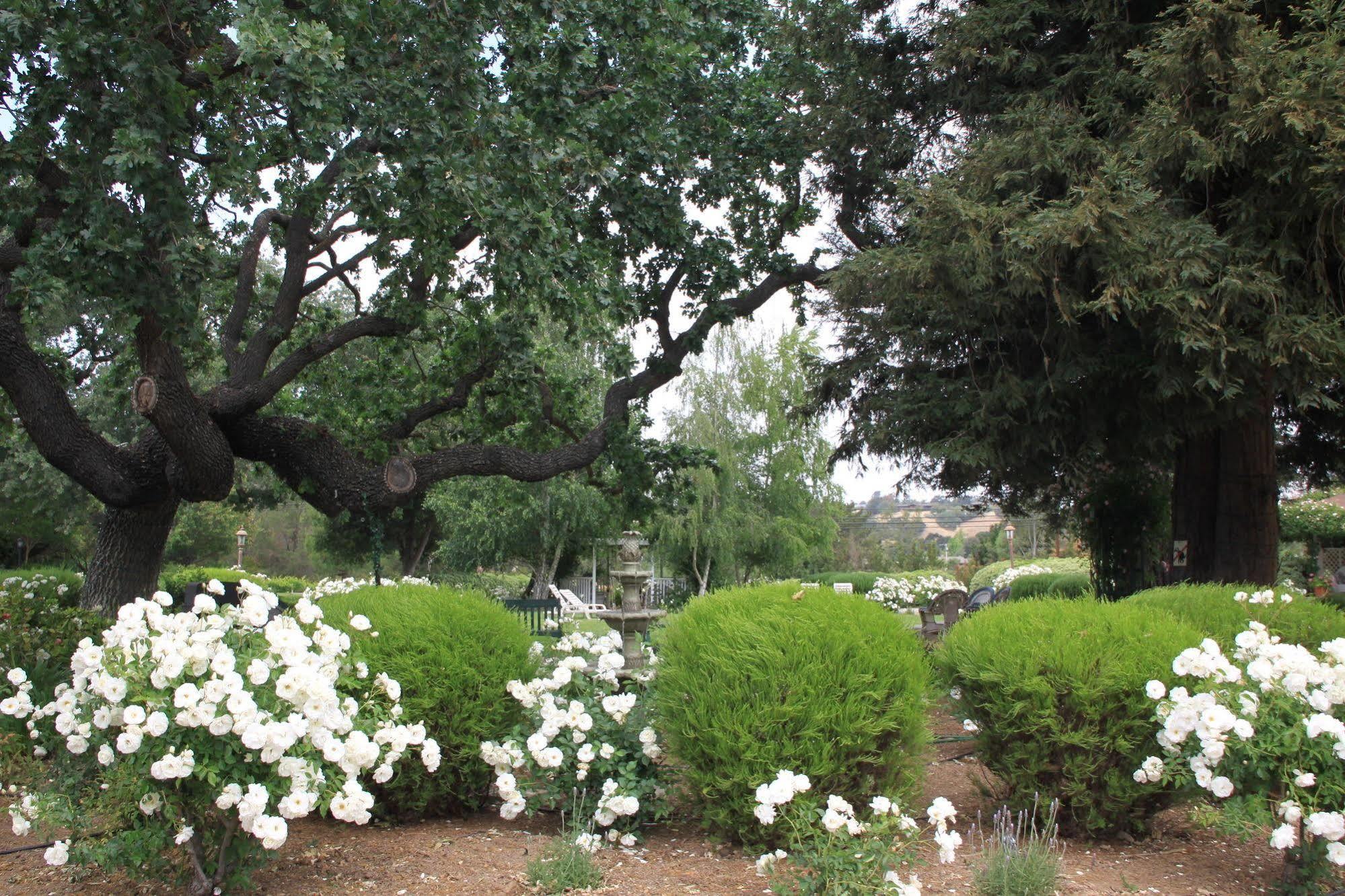 Meadowlark Inn Solvang Buitenkant foto