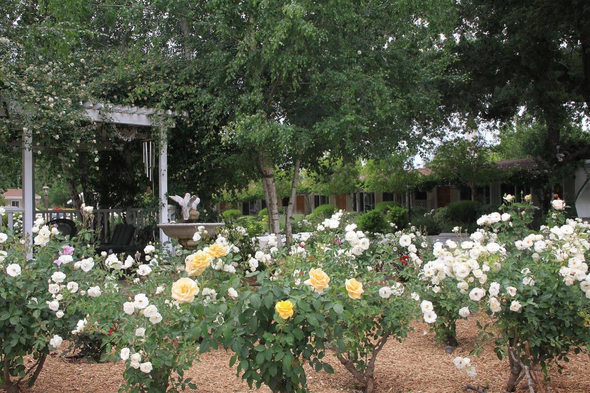 Meadowlark Inn Solvang Buitenkant foto